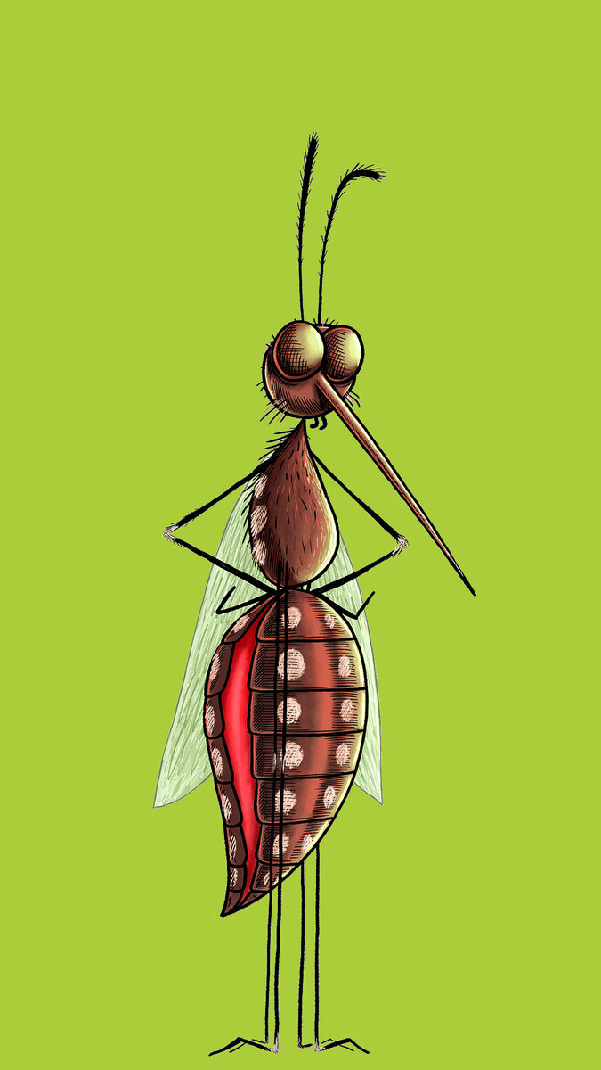 Illustrated mosquito standing upright with hands on hips, on a lime-green background